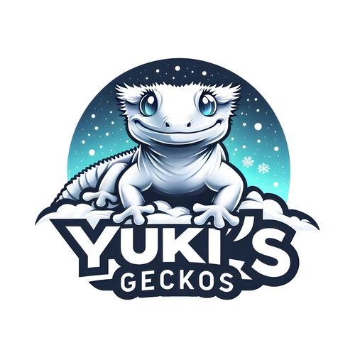 Yuki's Geckos